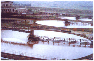 周边辊轮传动式浓密机